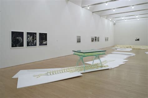 Matthew Barney-Drawing Restraint-2006 - Galerie Max Hetzler