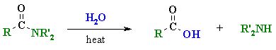 Ch20 : Amide hydrolysis