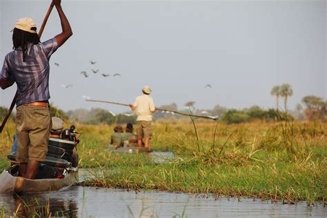 0-mokoro-adventure-paul-steyn-okavango-delta-botswana-timbuktu-travel.jpg?auto=compress%2Cformat ...