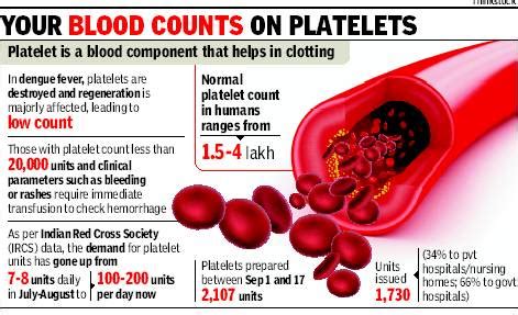 High Platelet Count Dog Blood Work