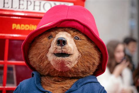 The 10 'Paddington Bear' Quotes That Will Always Inspire Joy