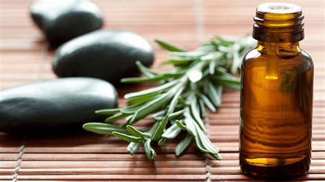 Rosemary Oil Benefits for Hair Loss and Skin Aging | Woman's World