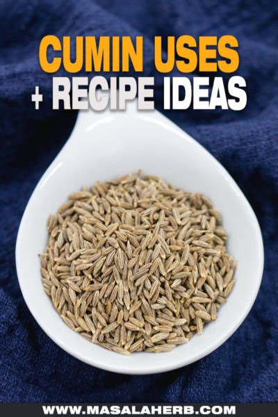 Cumin Uses + Recipe Ideas | MasalaHerb.com