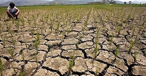 Dry – dry – dry – El Niño! News from the Philippines