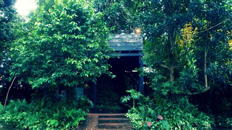 Mondulkiri Nature Lodge - A Verdant Retreat | Darejourney