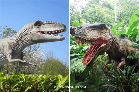 Giganotosaurus VS T. Rex: 3 Ways To See Who’ll Win