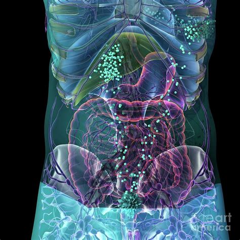 New Clue Discovered for How and Why Cancer Cells Spread; International Research Team Uncovers ...