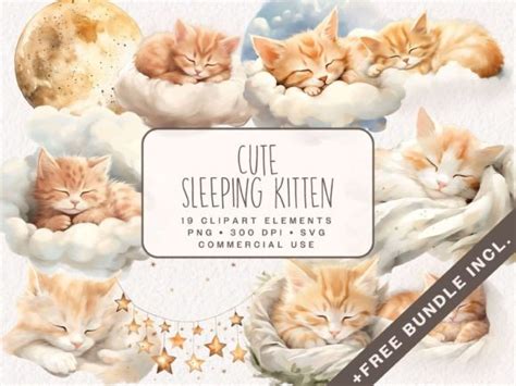 Cute Sleeping Kitten Clipart Bundle Graphic by ClipartcreationsDE · Creative Fabrica