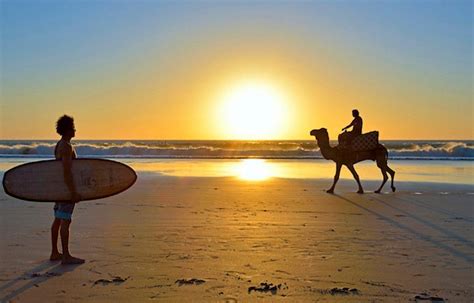 Essaouira surfing (surf and yoga retreat) - All You Need to Know BEFORE ...