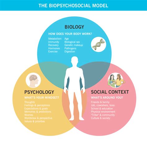 Biopsychosocial Model Of Health Diagram The Integrated Biops