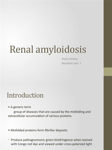 Renal Amyloidosis | PDF