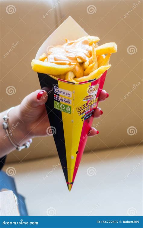 Belgian frites with sauce editorial photography. Image of french ...