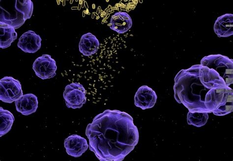 3d model bacteria scanning microscope