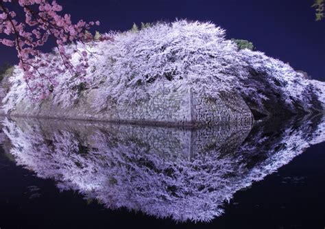 Photographing Sakura in Japan: Scenic Spots & Pro Photography Tips (3)