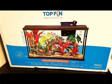 BETTA fish Aquarium UPGRADED finally!! - Aquatic videos