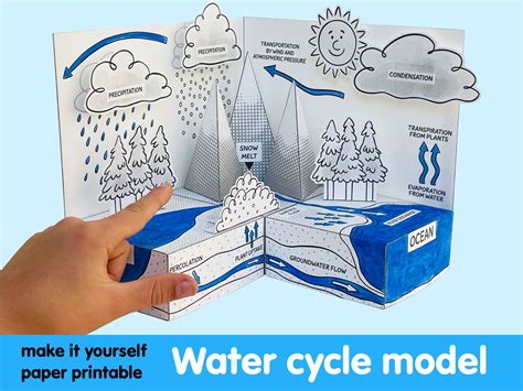 WATER CYCLE MODEL Printable Paper Diorama. Make It Yourself - Etsy Canada