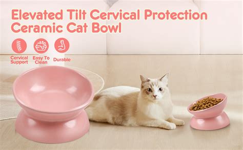 Amazon.com : Rapsrk Raised and Tilted Pet Cat Food Bowl,5 Inches ...