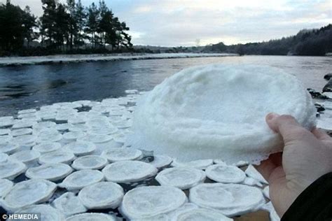 'Ice pancakes' found floating on a Scottish river | Daily Mail Online