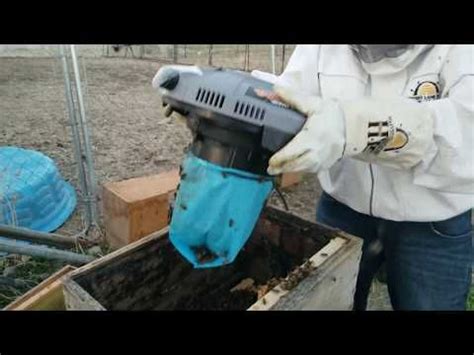 $30 Bee Vacuum DIY instructions Make Yours In 1 Hour | Vacuum, Bee ...