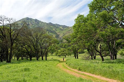 Hiking Mount Diablo | mdia