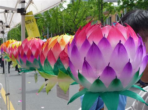 Lotus lantern • Simple Craft Ideas | Paper lanterns diy, Paper flowers, Lantern craft