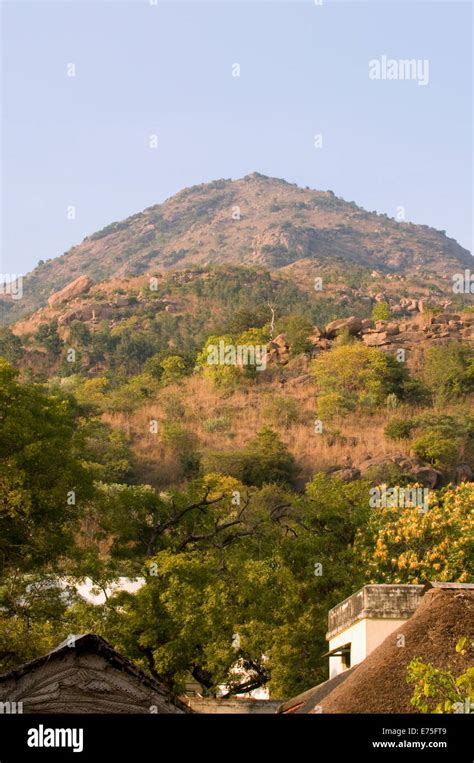 Arunachala Sacred Mountain seen from the Temple grounds in Sri Ramana Maharshi Ashram Arunachala ...