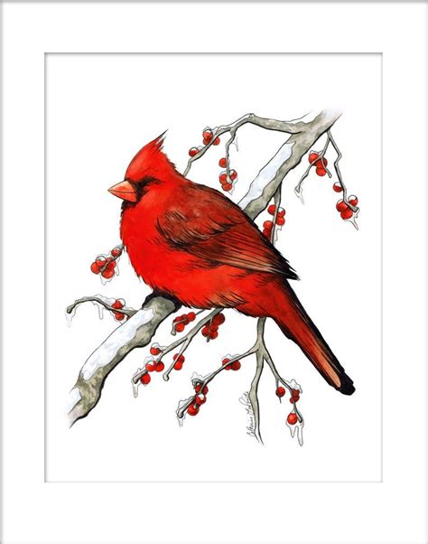 Cardinal in Winter Snow Fine Art Print Ink and Watercolor | Etsy in ...