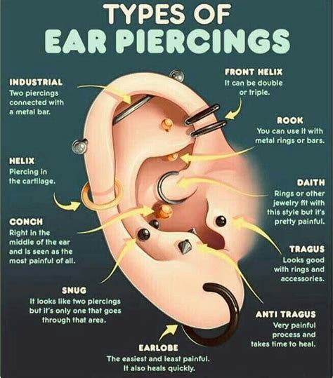 Pin by Rachel Kardashian on Random | Ear piercings, Ear piercings chart, Piercing chart