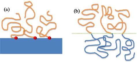 Sketch or adsorbed polymer layer at (a) surface and (b) block copolymer... | Download Scientific ...