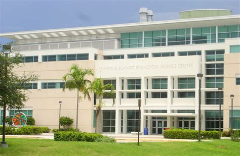 Florida Atlantic University | Research, Boca Raton, Education | Britannica