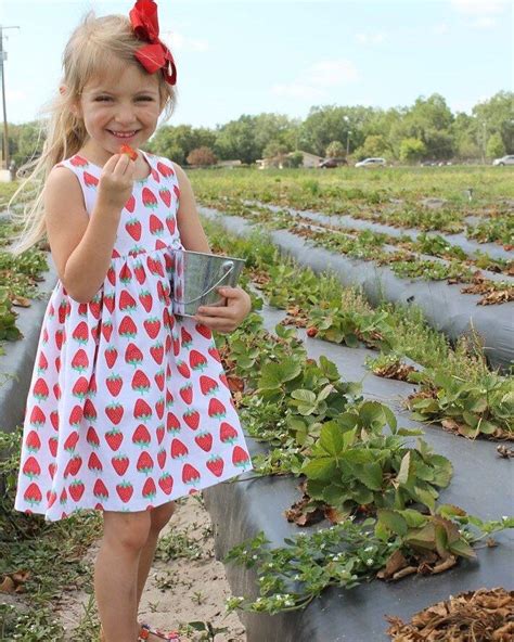 Strawberry Dress strawberry picking outfit summer berry | Etsy | Strawberry dress, Strawberry ...