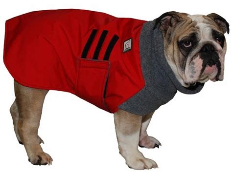 ENGLISH BULLDOG Winter Coat Winter Coat Dog by VoyagersK9Apparel