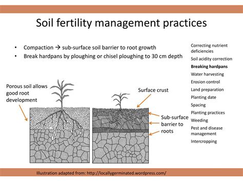 PPT - Soil & soil fertility PowerPoint Presentation, free download - ID:6095416