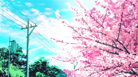 Aesthetic Cherry Tree Anime Background | Images and Photos finder