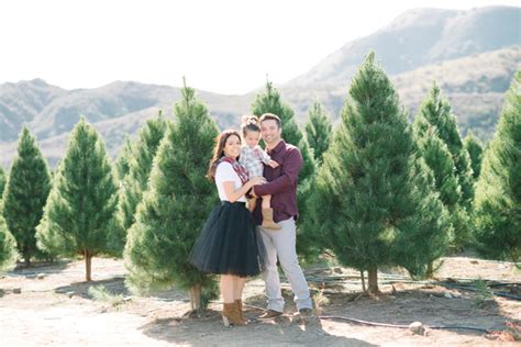 {christmas tree farm | family | portrait | irvine} - Krista Mason ...