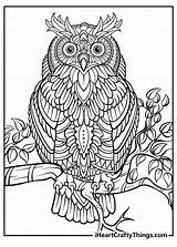 Unleash Your Inner Artist With Free Adult Coloring Pages sketch template
