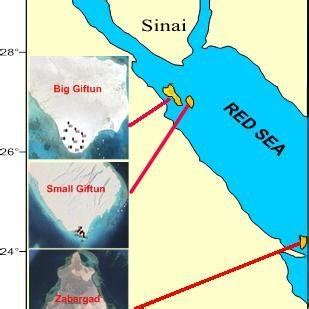 Location map of the studied Islands on the Red Sea, Egypt. | Download Scientific Diagram