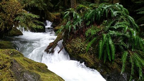 Kaiyote Tours: Finding the Little River