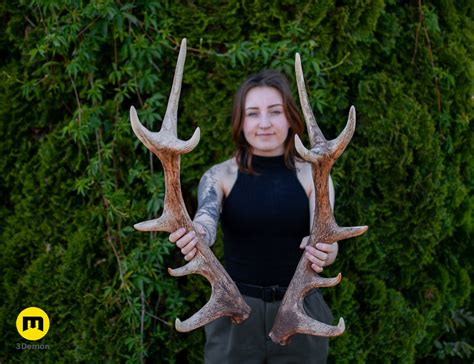 3D file Red Deer antlers 🦌 ・Model to download and 3D print・Cults