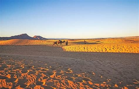 2-day Zagora Desert Tour and Camel Trekking in Morocco