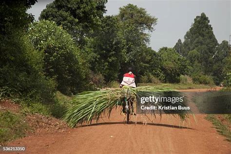 98 Bungoma Kenya Photos & High Res Pictures - Getty Images