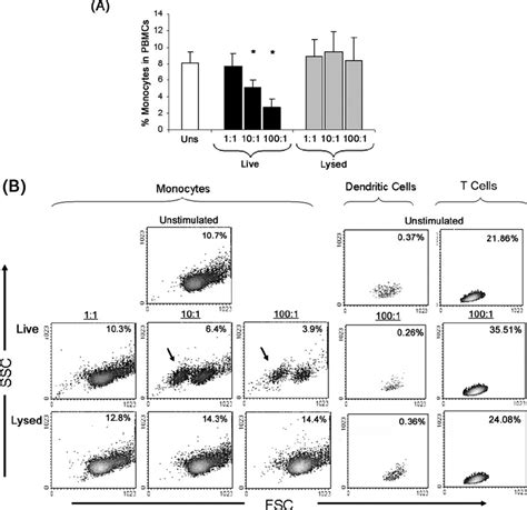 Live B. burgdorferi , but not lysed B. burgdorferi , induces monocyte ...