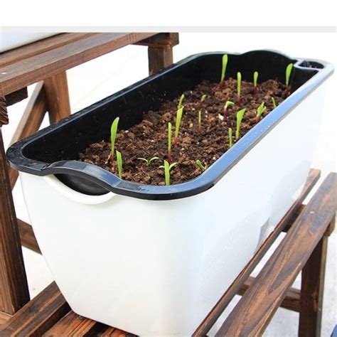 Self Watering Grow Box (Grande) - Home Farming Singapore