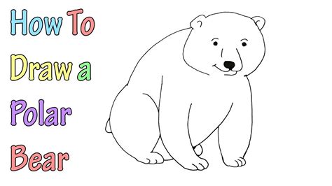 Steps To Draw A Polar Bear