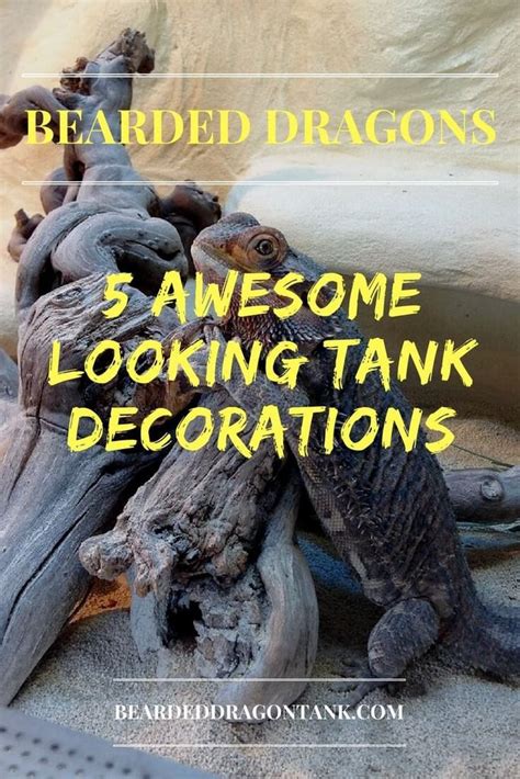 Bearded Dragon Tank Décor | Bearded Dragon Tank