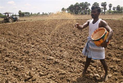 Monsoons in India delivered more than normal levels of rainfall so far: IMD - International Inside