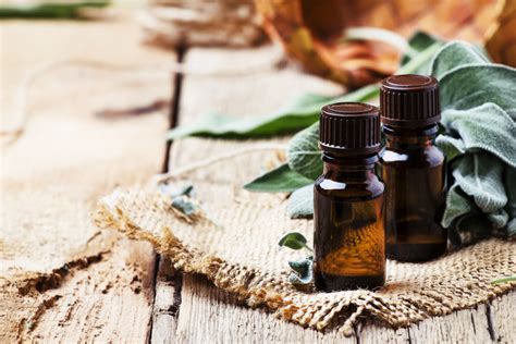 The Ancient Benefits of Sage Oil: History and Uses | Moda Bella Vida