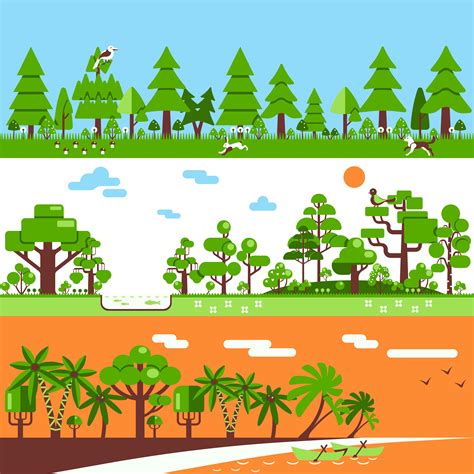 Coniferous Deciduous Tropical Forest Banners 466074 Vector Art at Vecteezy