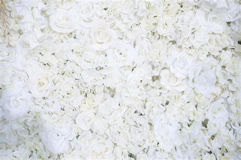 White wedding flower background and decoration 2754038 Stock Photo at Vecteezy