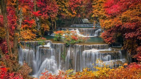 Bing HD Wallpaper Oct 7, 2021: Great on so many levels - Bing Wallpaper Gallery